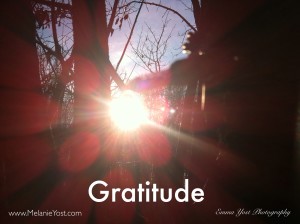 Gratitude - Melanie Yost